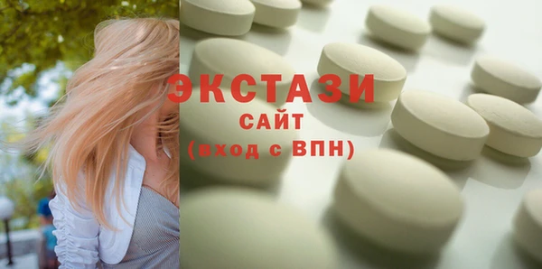 прущие грибы Новозыбков