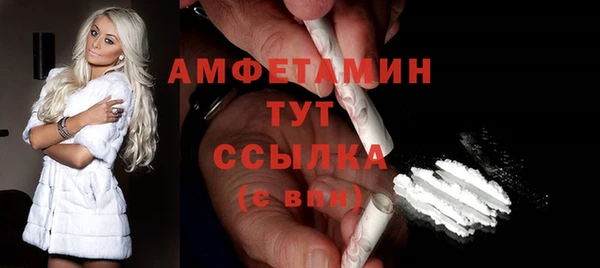 прущие грибы Новозыбков