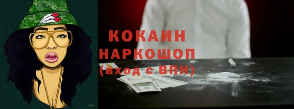 спайс Няндома