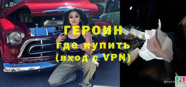 прущие грибы Новозыбков