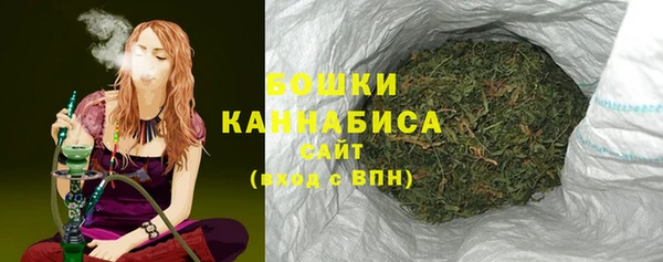спайс Няндома