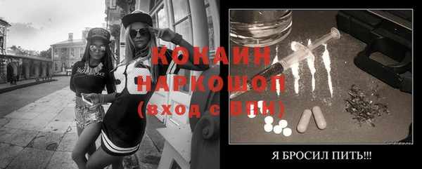 прущие грибы Новозыбков