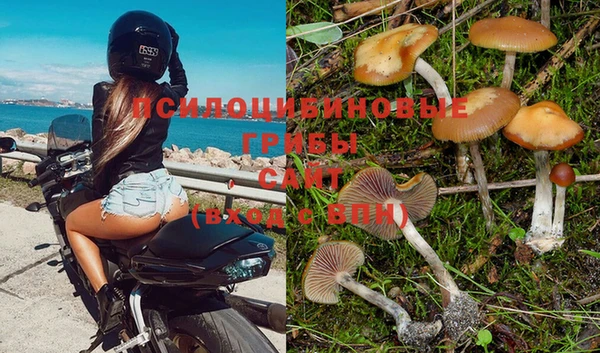 винт Новодвинск