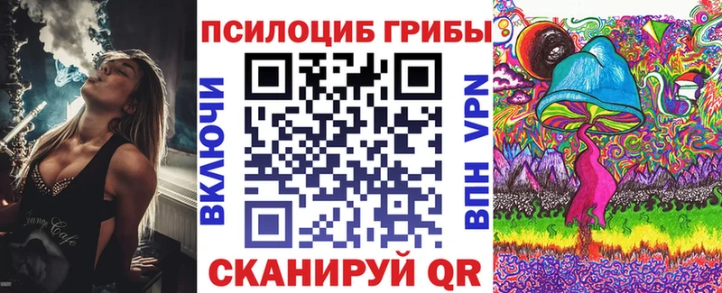 как найти наркотики  Находка  shop какой сайт  Псилоцибиновые грибы мицелий 