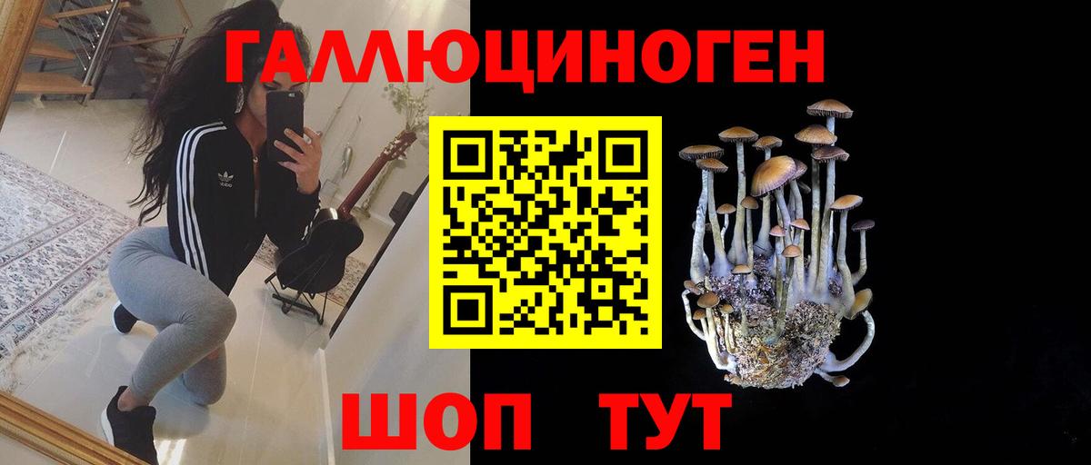 Галлюциногенные грибы GOLDEN TEACHER  Галлюциногенные грибы мухоморы  магазин продажи   Вход с VPN  Находка 